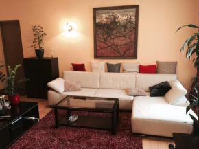Отель Luxury Dana's City Centre Apartment  Каунас